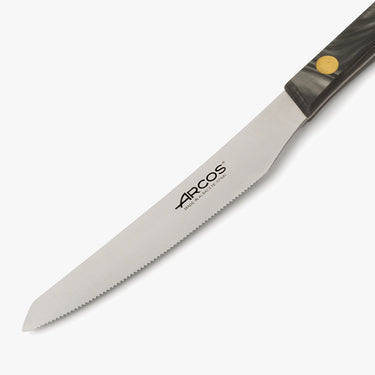 arcos-serie-flysch-coltello-da-tavola-110-mm-lama-nitrum-con-manico-elegante image 2