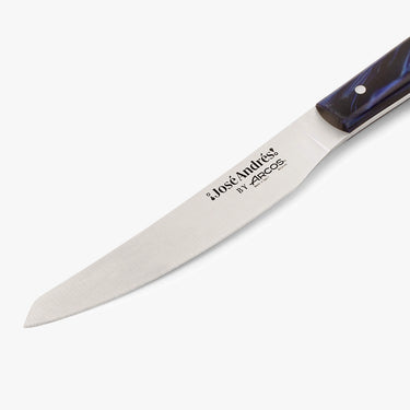 arcos-jos-andr-s-set-2-coltelli-da-tavola-blu-lame-in-acciaio-inox-per-carne-e-p image 2