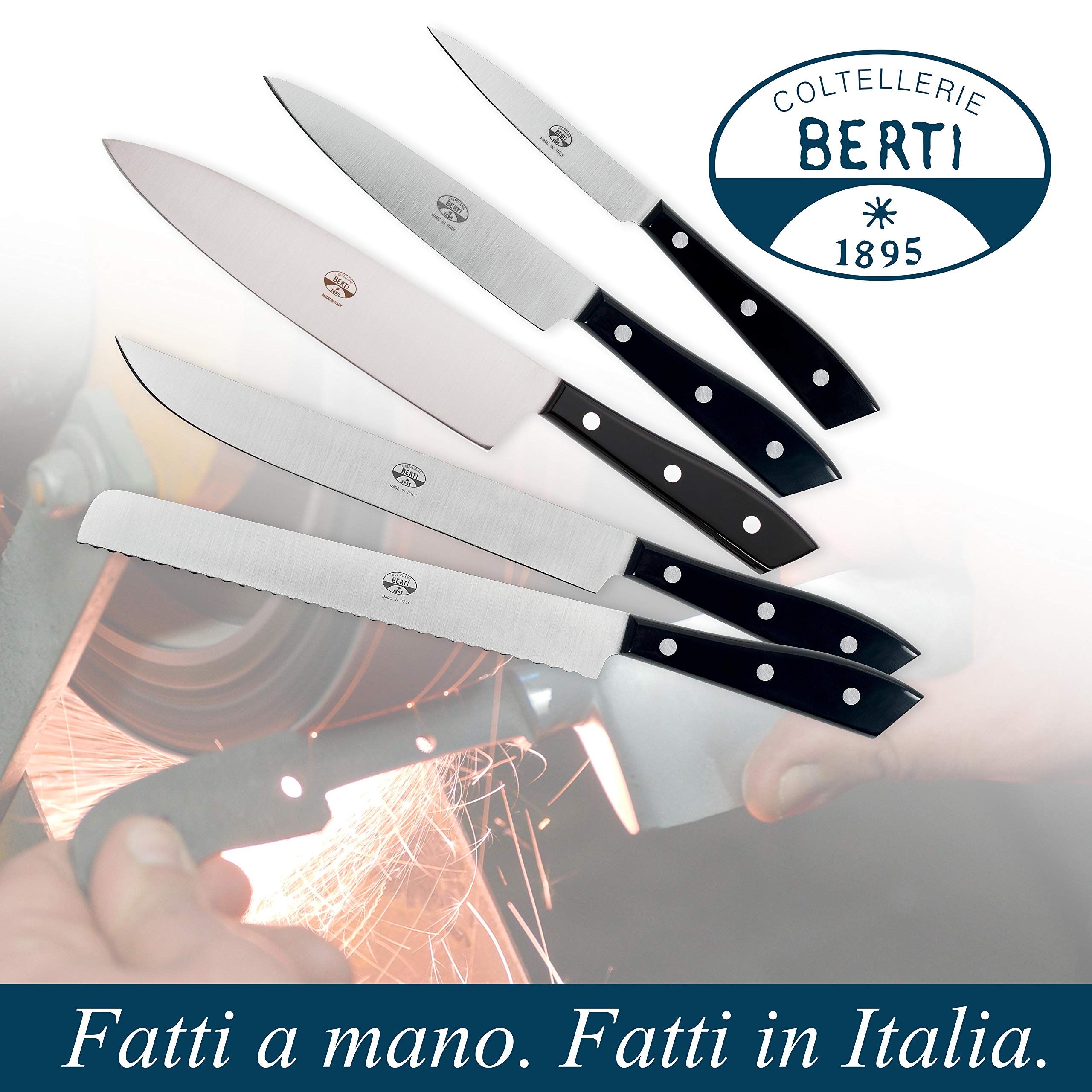 coltellerie-berti-1895-set-5-coltelli-da-cucina-professionali-con-ceppo-libro-ne image 3