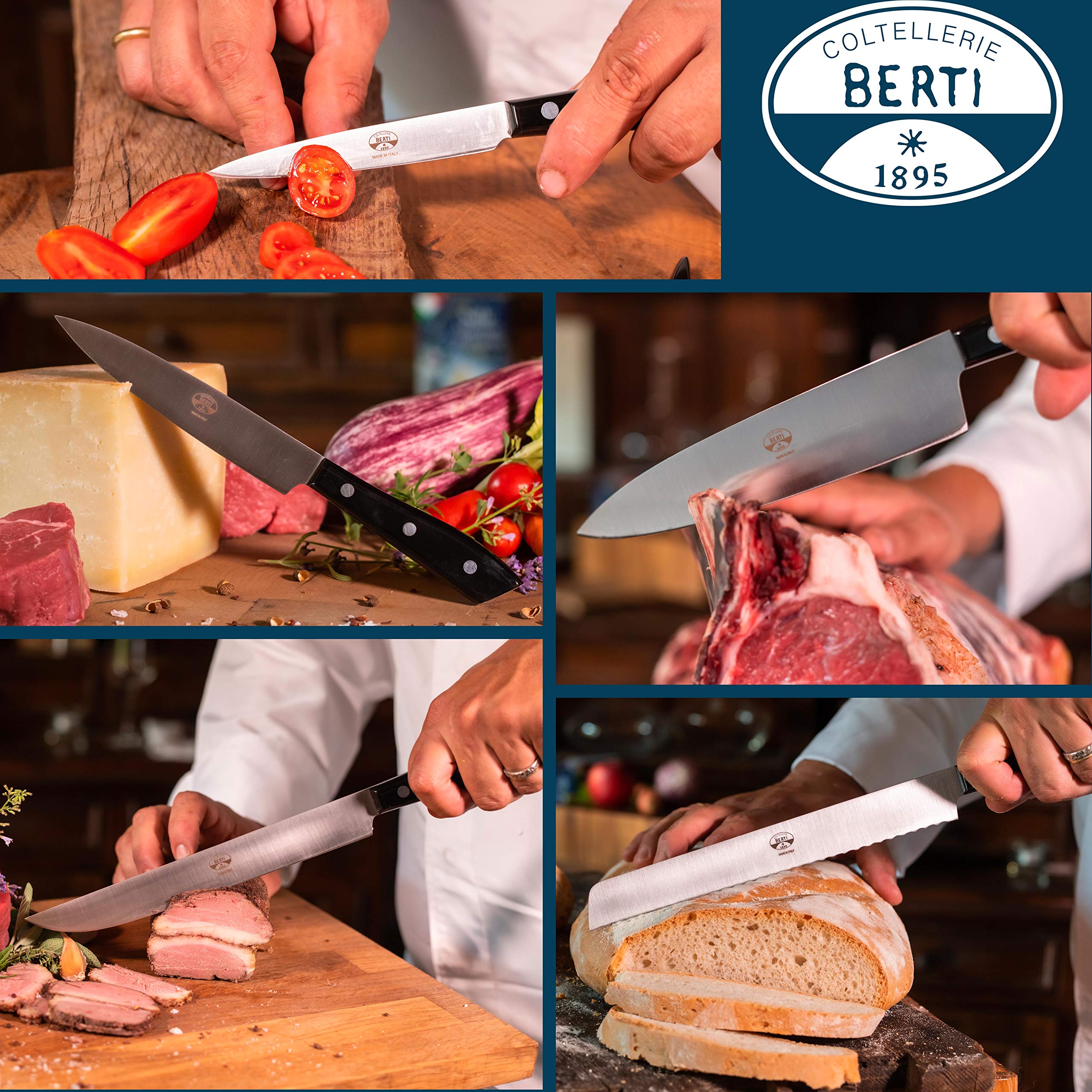 coltellerie-berti-1895-set-5-coltelli-da-cucina-professionali-con-ceppo-libro-ne image 4